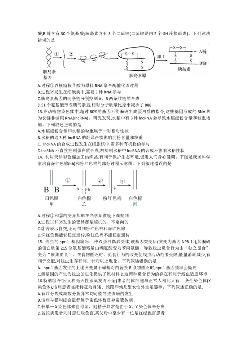 甘肃省张掖市某重点校2022-2023学年高三上学期期中检测生物试题_生物高考模拟题_老高考_2023年