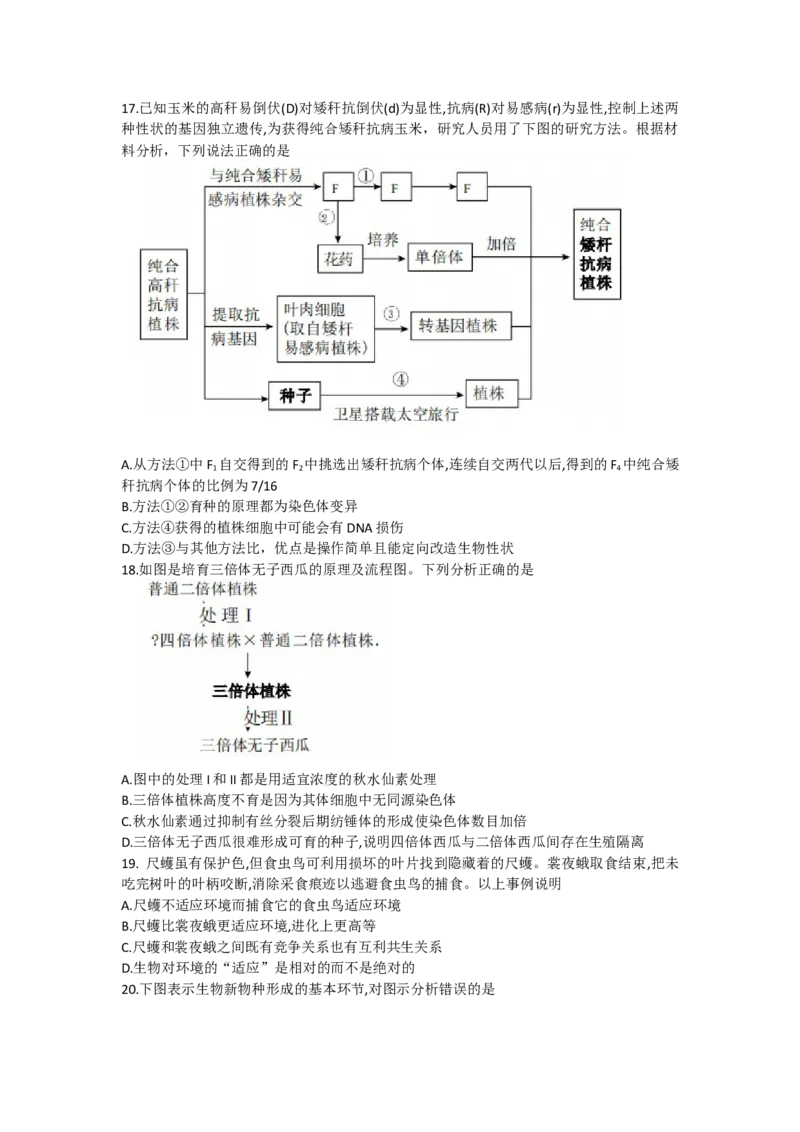 甘肃省张掖市某重点校2022-2023学年高三上学期期中检测生物试题_生物高考模拟题_老高考_2023年
