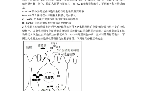 甘肃省张掖市某重点校2022-2023学年高三上学期期中检测生物试题_生物高考模拟题_老高考_2023年