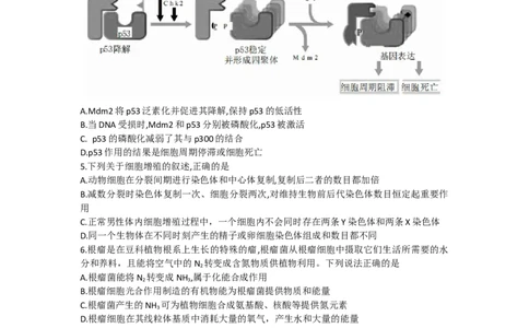 甘肃省张掖市某重点校2022-2023学年高三上学期期中检测生物试题_生物高考模拟题_老高考_2023年