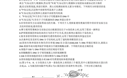 甘肃省张掖市某重点校2022-2023学年高三上学期期中检测生物试题_生物高考模拟题_老高考_2023年