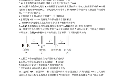 甘肃省张掖市某重点校2022-2023学年高三上学期期中检测生物试题_生物高考模拟题_老高考_2023年