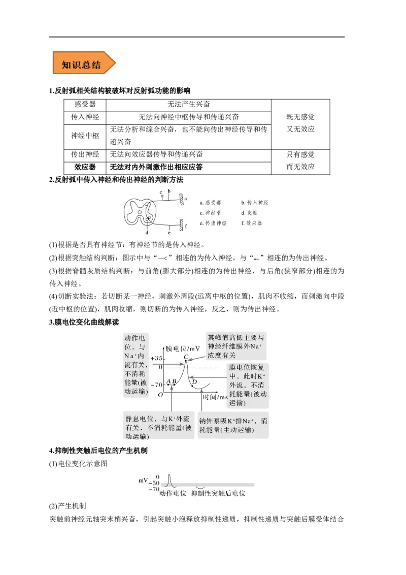 易错点20神经调节-备战2023年高考生物考试易错题（新教材新高考）（原卷版）_新高考复习资料_2023年新高考复习资料_专项复习_备战2023年高考生物考试易错题（新教材新高考）