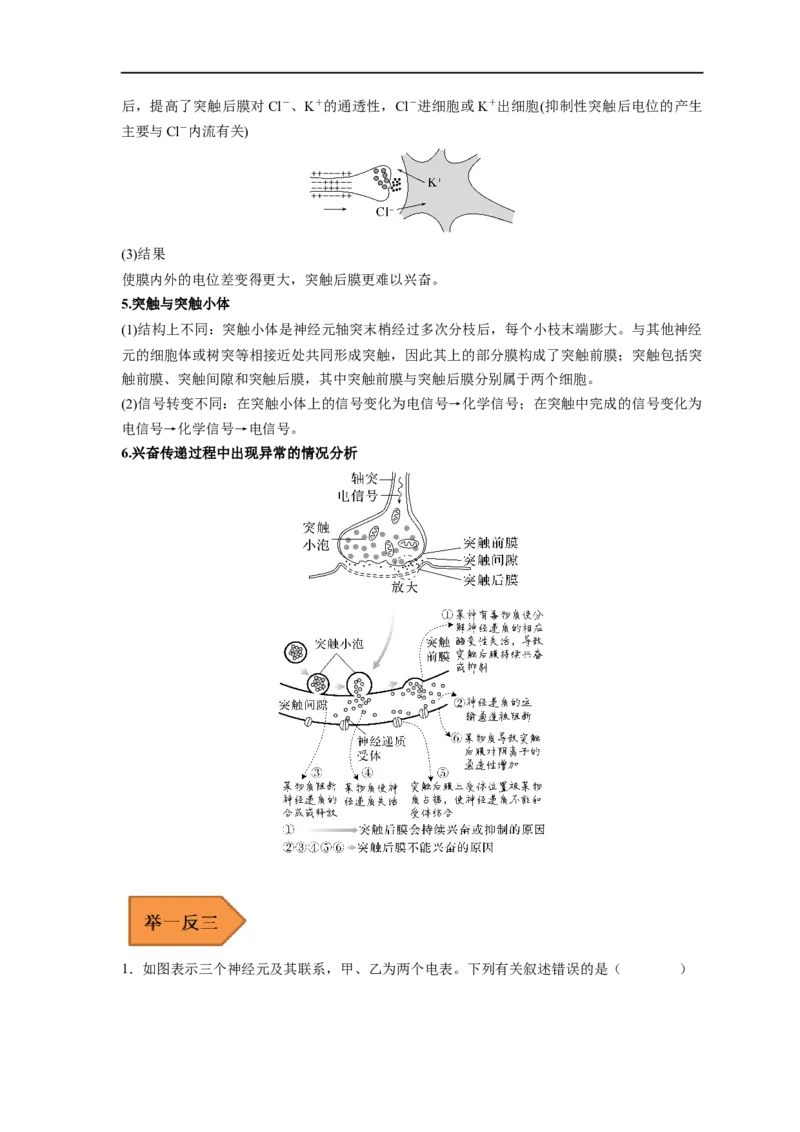 易错点20神经调节-备战2023年高考生物考试易错题（新教材新高考）（原卷版）_新高考复习资料_2023年新高考复习资料_专项复习_备战2023年高考生物考试易错题（新教材新高考）
