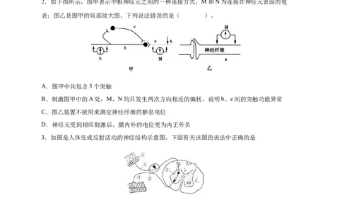易错点20神经调节-备战2023年高考生物考试易错题（新教材新高考）（原卷版）_新高考复习资料_2023年新高考复习资料_专项复习_备战2023年高考生物考试易错题（新教材新高考）