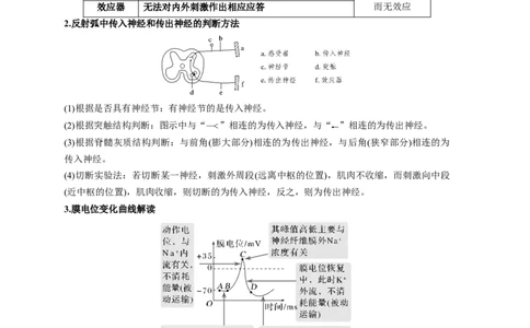 易错点20神经调节-备战2023年高考生物考试易错题（新教材新高考）（原卷版）_新高考复习资料_2023年新高考复习资料_专项复习_备战2023年高考生物考试易错题（新教材新高考）