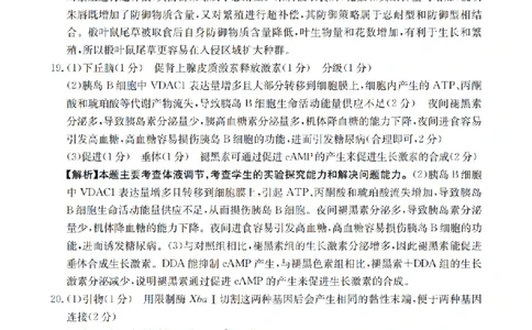 陕西省2026届高三下学期3月联考（26-287C）生物答案_2024-2026高三（6-6月题库）_2026年03月高三试卷_260318金太阳&middot;陕西省2026届高三下学期3月联考（26-287C）（全科）