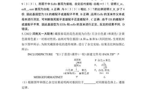 热点微练10突破自由组合定律的特殊分离比(尖子生特训)_新高考复习资料_2024年新高考复习资料_一轮复习资料_完2024生物步步高大一轮复习（课件+讲义）_另附1套Word版题库_必修2