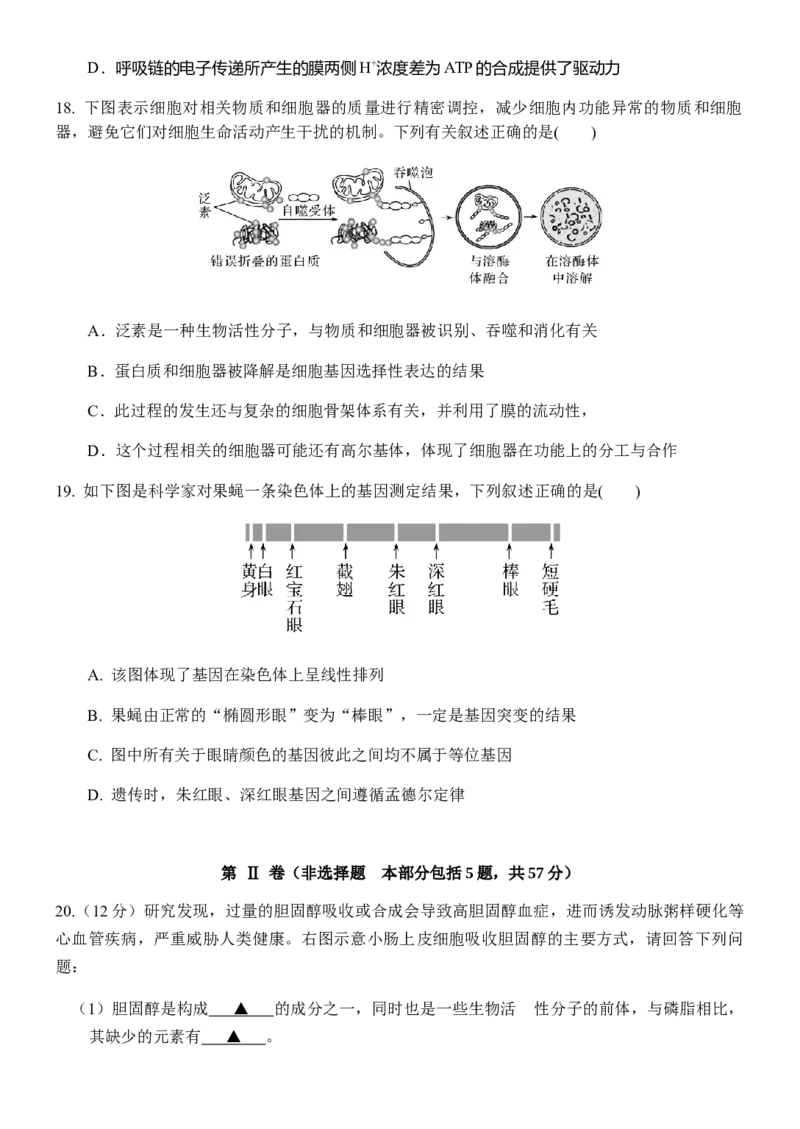 江苏省扬州中学2022-2023学年高三上学期10月月考生物试题[35301342]_生物高考模拟题_新高考_2023年