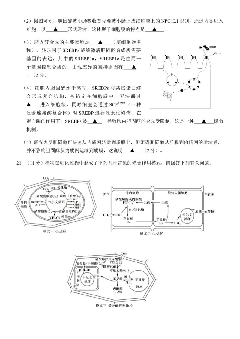 江苏省扬州中学2022-2023学年高三上学期10月月考生物试题[35301342]_生物高考模拟题_新高考_2023年