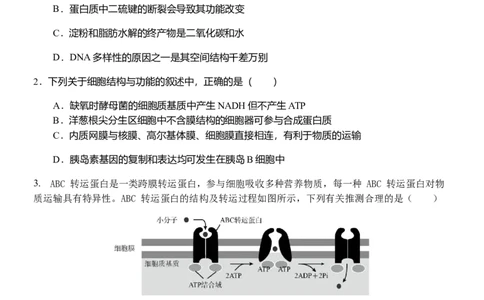 江苏省扬州中学2022-2023学年高三上学期10月月考生物试题[35301342]_生物高考模拟题_新高考_2023年