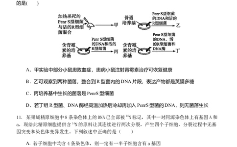 江苏省扬州中学2022-2023学年高三上学期10月月考生物试题[35301342]_生物高考模拟题_新高考_2023年