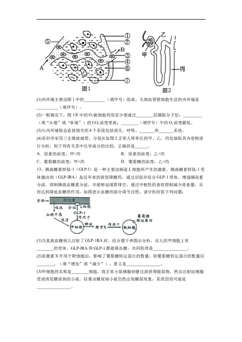 热点03内环境稳态综合分析（原卷版）_通用版（老高考）复习资料_2023年复习资料_专项复习_2023年高考生物热点&middot;重点&middot;难点专练（全国通用）