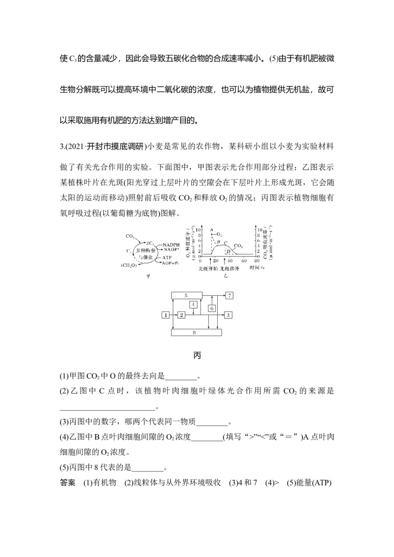 热点微练11光合作用与细胞呼吸的综合运用_通用版（老高考）复习资料_2023年复习资料_一轮复习_2023年高考生物一轮复习讲义+课件（全国版）_2023年高考生物一轮复习讲义（全国版）