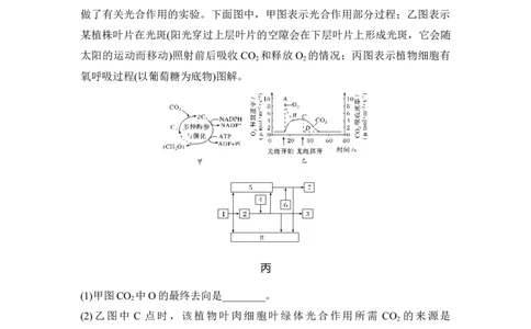 热点微练11光合作用与细胞呼吸的综合运用_通用版（老高考）复习资料_2023年复习资料_一轮复习_2023年高考生物一轮复习讲义+课件（全国版）_2023年高考生物一轮复习讲义（全国版）