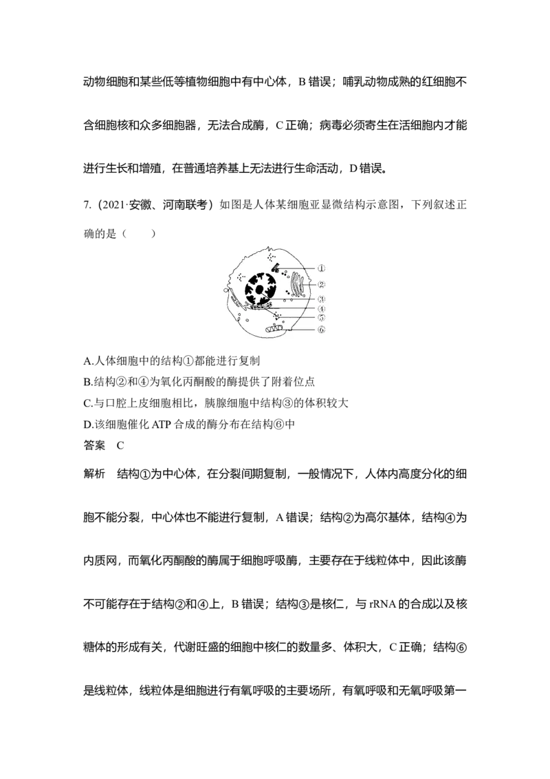 热点微练4突破细胞的结构与功能_通用版（老高考）复习资料_2023年复习资料_一轮复习_2023年高考生物一轮复习讲义+课件（全国版）_2023年高考生物一轮复习讲义（全国版）_赠补充习题