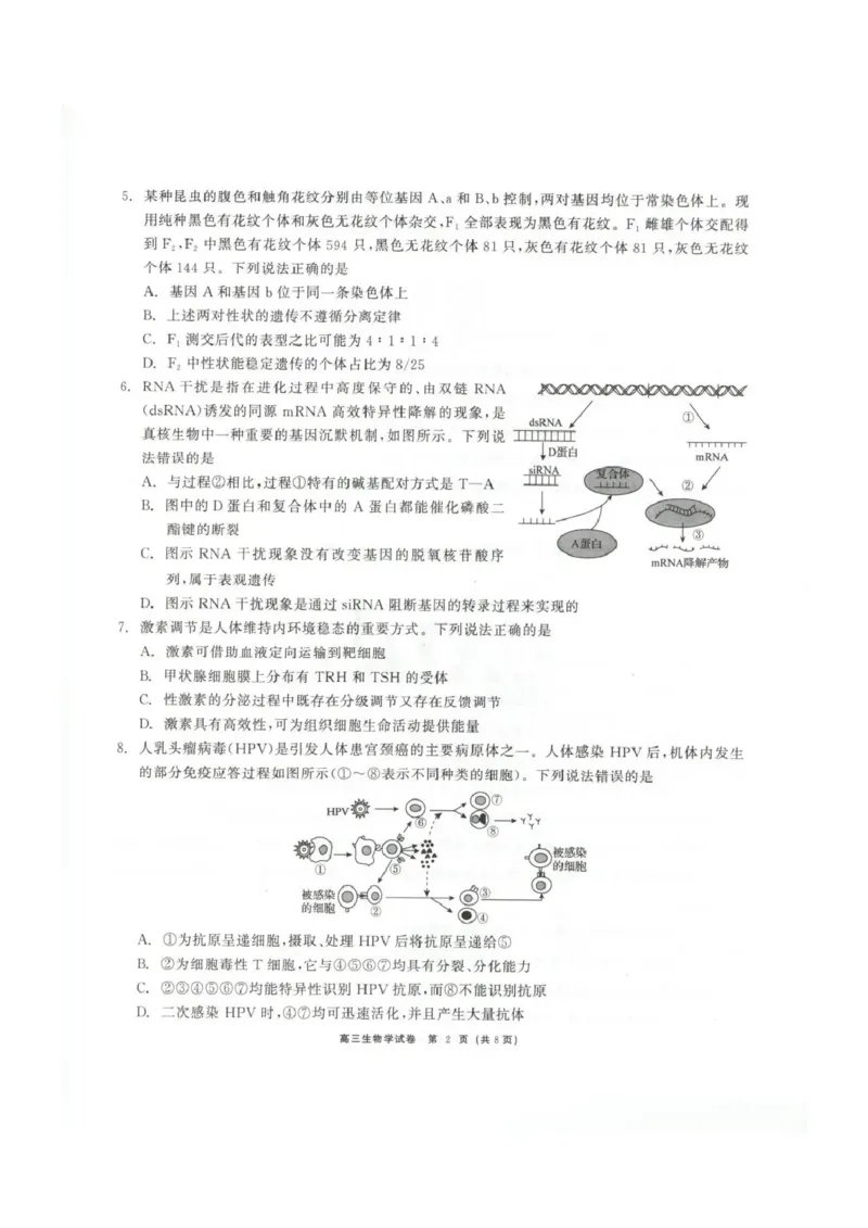 青海大通县朔山中学2025-2026学年高三下学期开学考试生物_2024-2026高三（6-6月题库）_2026年03月高三试卷_260314青海大通县朔山中学2025-2026学年高三下学期开学考试（全科）