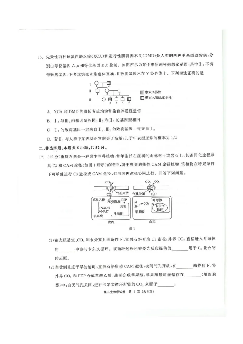 青海大通县朔山中学2025-2026学年高三下学期开学考试生物_2024-2026高三（6-6月题库）_2026年03月高三试卷_260314青海大通县朔山中学2025-2026学年高三下学期开学考试（全科）
