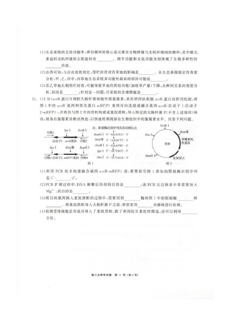 青海大通县朔山中学2025-2026学年高三下学期开学考试生物_2024-2026高三（6-6月题库）_2026年03月高三试卷_260314青海大通县朔山中学2025-2026学年高三下学期开学考试（全科）