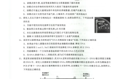 青海大通县朔山中学2025-2026学年高三下学期开学考试生物_2024-2026高三（6-6月题库）_2026年03月高三试卷_260314青海大通县朔山中学2025-2026学年高三下学期开学考试（全科）