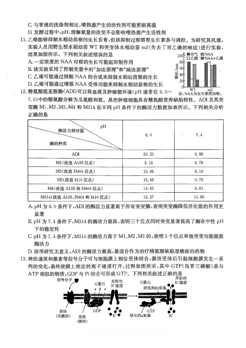 重庆好教育联盟2026届高三下学期3月开学联考（26-284C）生物_2024-2026高三（6-6月题库）_2026年03月高三试卷_260310金太阳&middot;重庆好教育联盟2026届高三下学期3月开学联考（26-284C）（全科）
