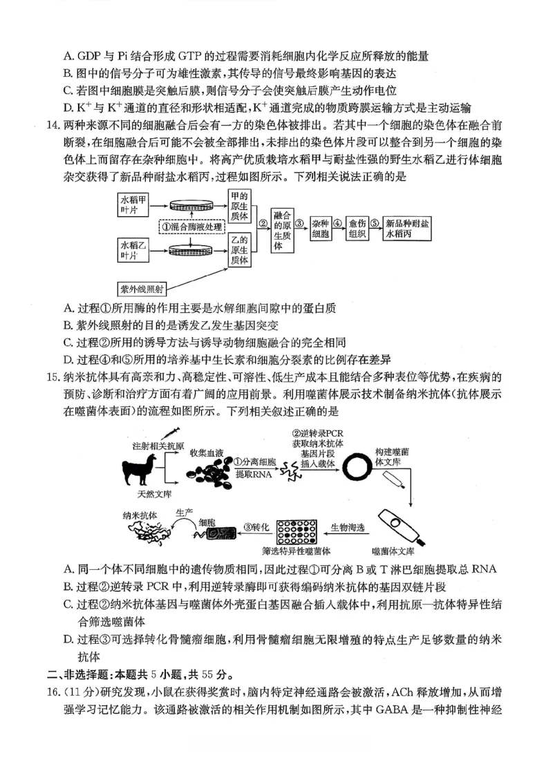 重庆好教育联盟2026届高三下学期3月开学联考（26-284C）生物_2024-2026高三（6-6月题库）_2026年03月高三试卷_260310金太阳&middot;重庆好教育联盟2026届高三下学期3月开学联考（26-284C）（全科）