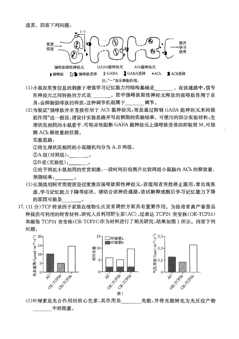 重庆好教育联盟2026届高三下学期3月开学联考（26-284C）生物_2024-2026高三（6-6月题库）_2026年03月高三试卷_260310金太阳&middot;重庆好教育联盟2026届高三下学期3月开学联考（26-284C）（全科）