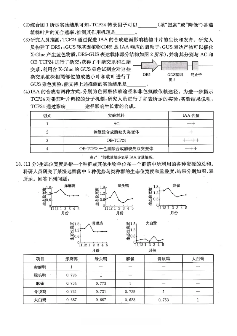 重庆好教育联盟2026届高三下学期3月开学联考（26-284C）生物_2024-2026高三（6-6月题库）_2026年03月高三试卷_260310金太阳&middot;重庆好教育联盟2026届高三下学期3月开学联考（26-284C）（全科）