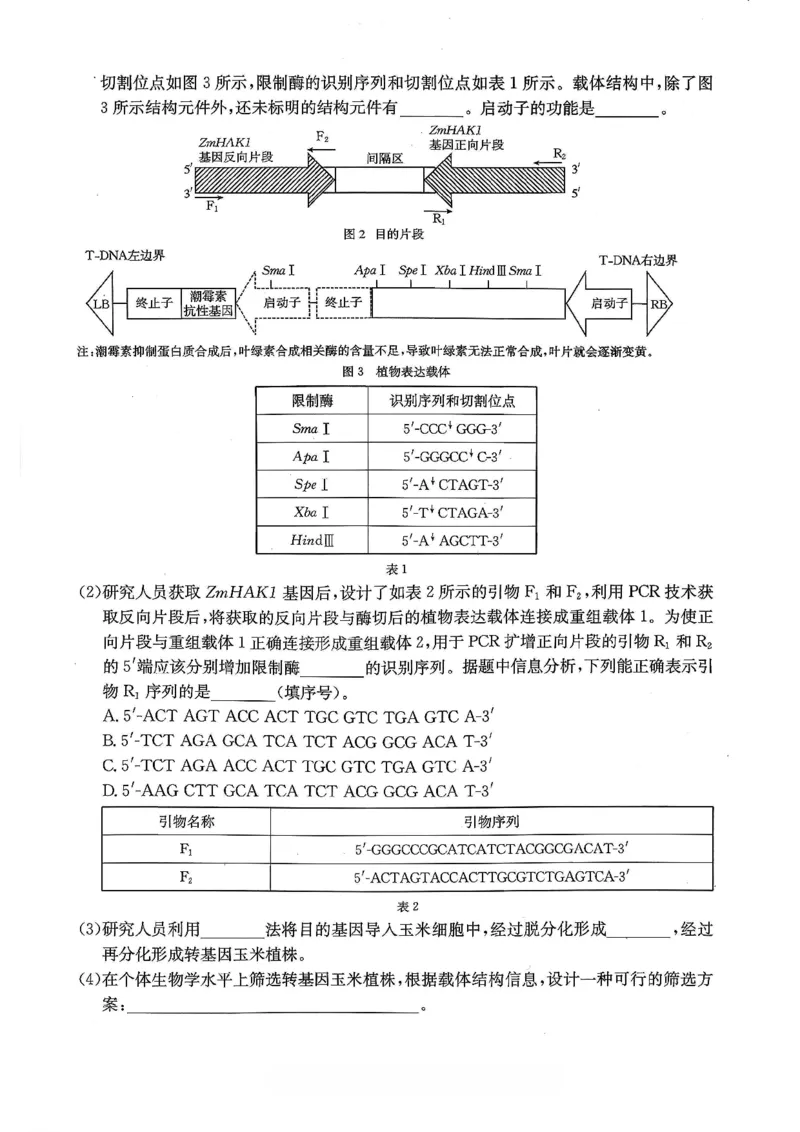 重庆好教育联盟2026届高三下学期3月开学联考（26-284C）生物_2024-2026高三（6-6月题库）_2026年03月高三试卷_260310金太阳&middot;重庆好教育联盟2026届高三下学期3月开学联考（26-284C）（全科）