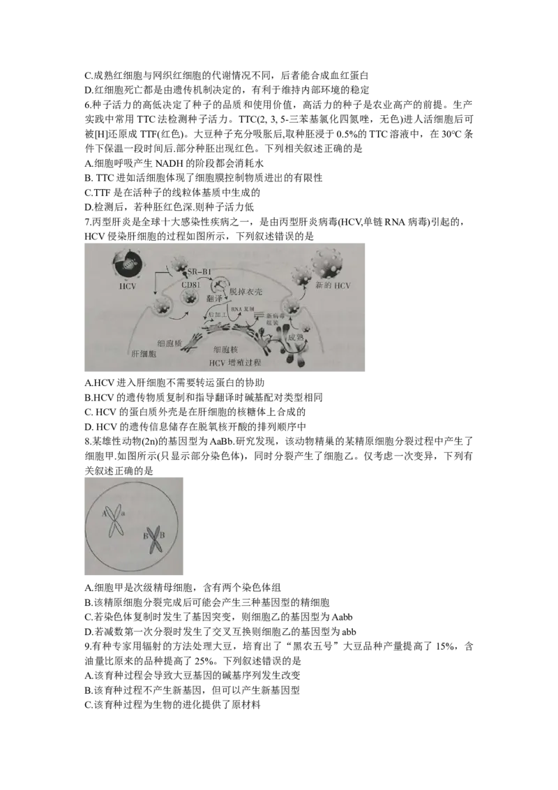 甘肃省白银市靖远县第四中学2022-2023学年高三上学期第一次月考生物试题_生物高考模拟题_老高考_2023年