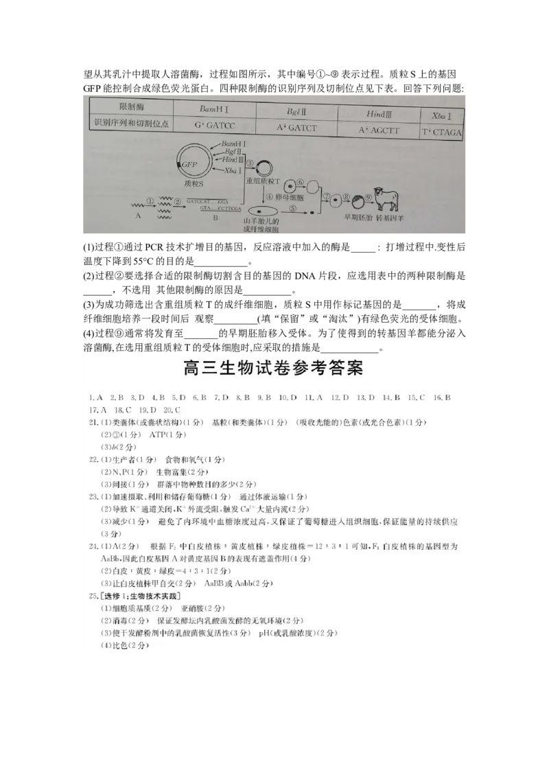 甘肃省白银市靖远县第四中学2022-2023学年高三上学期第一次月考生物试题_生物高考模拟题_老高考_2023年
