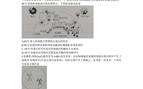 甘肃省白银市靖远县第四中学2022-2023学年高三上学期第一次月考生物试题_生物高考模拟题_老高考_2023年