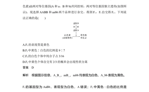 热点微练15自由组合定律的特殊分离比_通用版（老高考）复习资料_2023年复习资料_一轮复习_2023年高考生物一轮复习讲义+课件（全国版）_2023年高考生物一轮复习讲义（全国版）