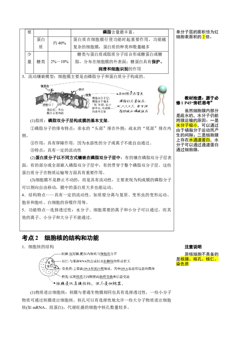 知识清单03+细胞的基本结构（4大考点+8个易错点）-上好课2025年高考生物一轮复习知识清单_新高考复习资料_2025年新高考资料_2025年高考生物一轮复习知识清单