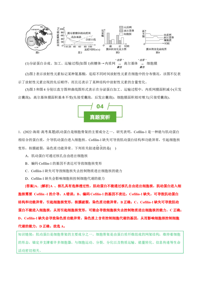知识清单03+细胞的基本结构（4大考点+8个易错点）-上好课2025年高考生物一轮复习知识清单_新高考复习资料_2025年新高考资料_2025年高考生物一轮复习知识清单