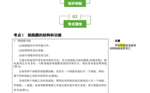 知识清单03+细胞的基本结构（4大考点+8个易错点）-上好课2025年高考生物一轮复习知识清单_新高考复习资料_2025年新高考资料_2025年高考生物一轮复习知识清单
