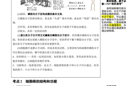 知识清单03+细胞的基本结构（4大考点+8个易错点）-上好课2025年高考生物一轮复习知识清单_新高考复习资料_2025年新高考资料_2025年高考生物一轮复习知识清单