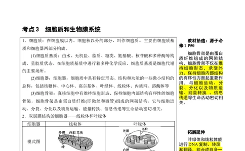 知识清单03+细胞的基本结构（4大考点+8个易错点）-上好课2025年高考生物一轮复习知识清单_新高考复习资料_2025年新高考资料_2025年高考生物一轮复习知识清单