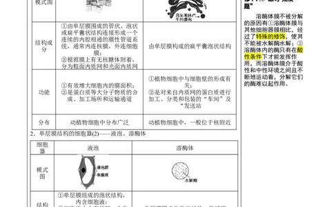 知识清单03+细胞的基本结构（4大考点+8个易错点）-上好课2025年高考生物一轮复习知识清单_新高考复习资料_2025年新高考资料_2025年高考生物一轮复习知识清单