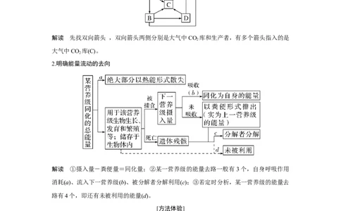 热点微练27　生态系统的功能_新高考复习资料_2023年新高考复习资料_一轮复习_2023年新高考大一轮复习讲义_2023年高考生物一轮复习讲义（新人教新高考）_赠补充习题