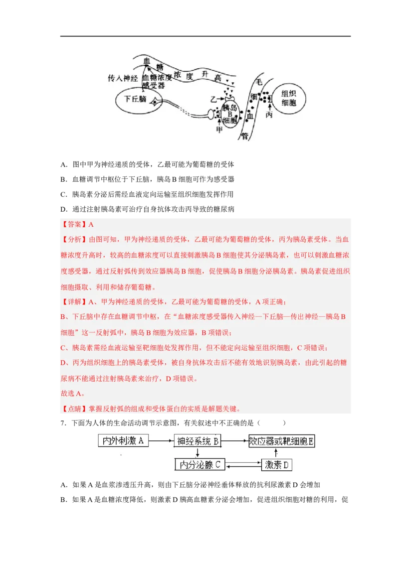 易错点21体液调节-备战2023年高考生物考试易错题（新教材新高考）（解析版）_新高考复习资料_2023年新高考复习资料_专项复习_备战2023年高考生物考试易错题（新教材新高考）