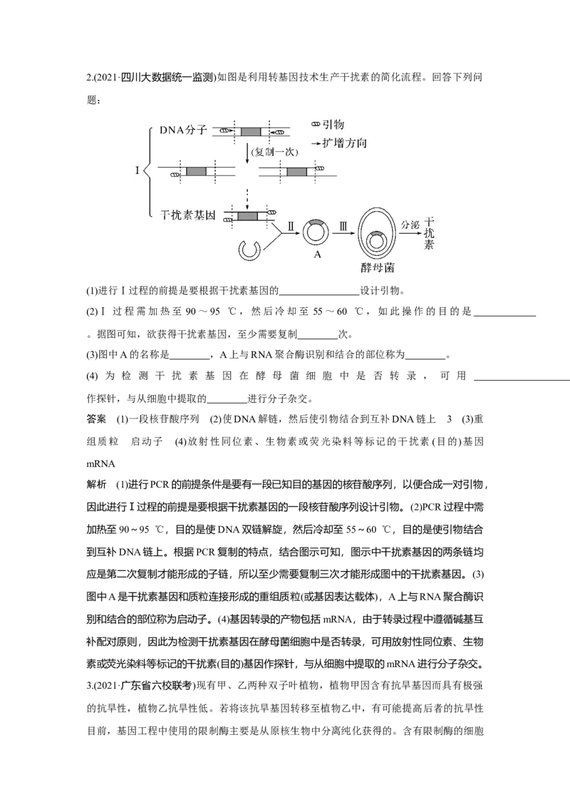 热点微练29　PCR技术的应用_新高考复习资料_2023年新高考复习资料_一轮复习_2023年新高考大一轮复习讲义_2023年高考生物一轮复习讲义（新人教新高考）_赠补充习题