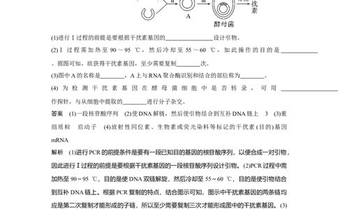 热点微练29　PCR技术的应用_新高考复习资料_2023年新高考复习资料_一轮复习_2023年新高考大一轮复习讲义_2023年高考生物一轮复习讲义（新人教新高考）_赠补充习题