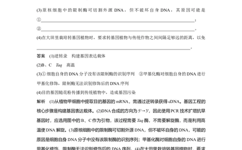 热点微练29　PCR技术的应用_新高考复习资料_2023年新高考复习资料_一轮复习_2023年新高考大一轮复习讲义_2023年高考生物一轮复习讲义（新人教新高考）_赠补充习题
