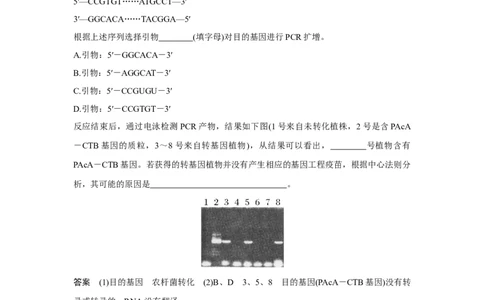 热点微练29　PCR技术的应用_新高考复习资料_2023年新高考复习资料_一轮复习_2023年新高考大一轮复习讲义_2023年高考生物一轮复习讲义（新人教新高考）_赠补充习题