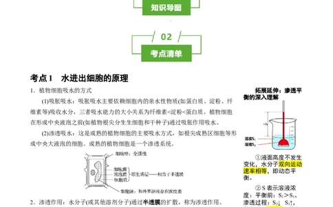 知识清单04+细胞的物质输入和输出（3大考点+6个易错点）-上好课2025年高考生物一轮复习知识清单_新高考复习资料_2025年新高考资料_2025年高考生物一轮复习知识清单