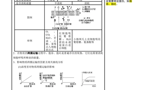 知识清单04+细胞的物质输入和输出（3大考点+6个易错点）-上好课2025年高考生物一轮复习知识清单_新高考复习资料_2025年新高考资料_2025年高考生物一轮复习知识清单