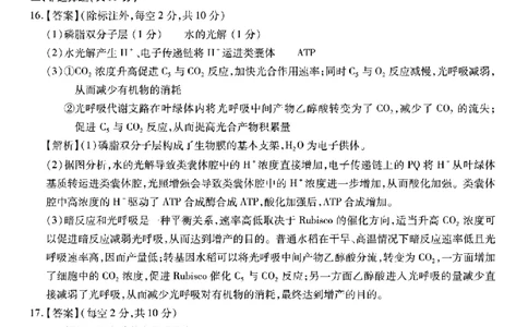 重庆市南开中学高2026届高三第六次质量检测生物答案_2024-2026高三（6-6月题库）_2026年03月高三试卷_260312重庆市南开中学高2026届高三第六次质量检测（全科）