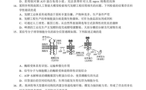 高三2月生物试卷F_2024-2026高三（6-6月题库）_2026年02月高三试卷_2602272026年湖北省云学联盟高三年级2月阶段训练（全科）_湖北云学联盟2026年高三下学期2月阶段训练生物学