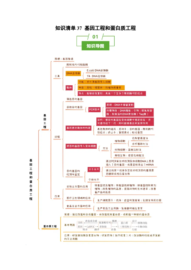 知识清单37基因工程和蛋白质工程（4大考点+10个易错点）-上好课2025年高考生物一轮复习知识清单_2025年新高考资料_一轮复习_上好课2025年高考生物一轮复习知识清单325572639
